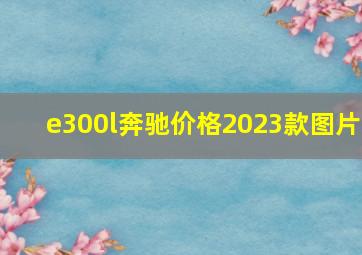 e300l奔驰价格2023款图片