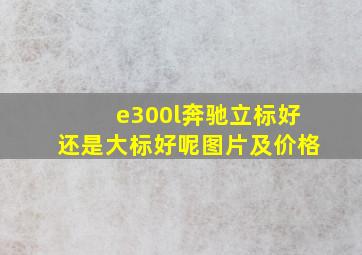 e300l奔驰立标好还是大标好呢图片及价格