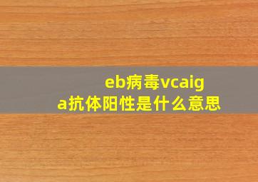 eb病毒vcaiga抗体阳性是什么意思