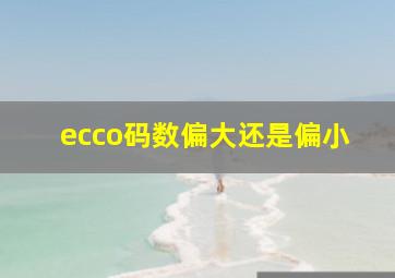 ecco码数偏大还是偏小