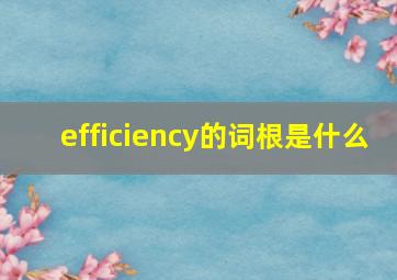 efficiency的词根是什么