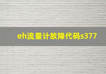 eh流量计故障代码s377