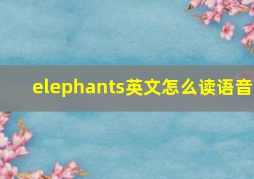 elephants英文怎么读语音