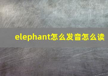 elephant怎么发音怎么读