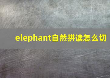 elephant自然拼读怎么切