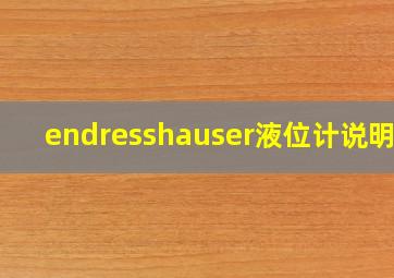 endresshauser液位计说明书