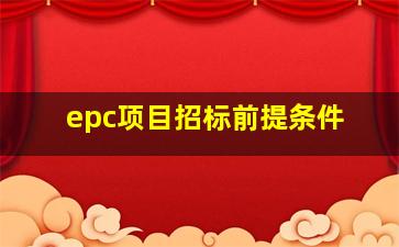 epc项目招标前提条件