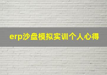 erp沙盘模拟实训个人心得