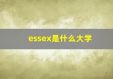 essex是什么大学