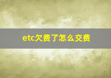 etc欠费了怎么交费