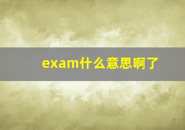 exam什么意思啊了