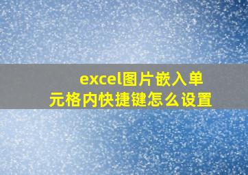 excel图片嵌入单元格内快捷键怎么设置