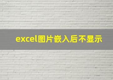 excel图片嵌入后不显示