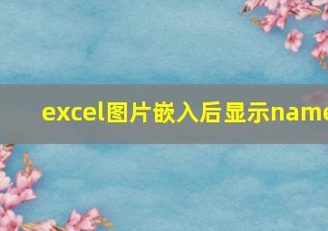 excel图片嵌入后显示name