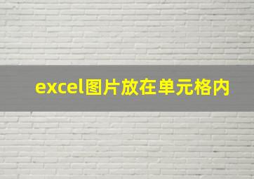 excel图片放在单元格内