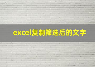 excel复制筛选后的文字