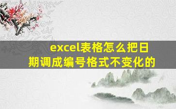 excel表格怎么把日期调成编号格式不变化的