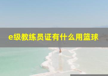 e级教练员证有什么用篮球