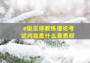 e级足球教练理论考试内容是什么意思呀