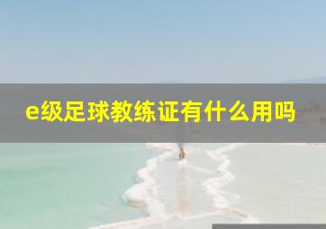 e级足球教练证有什么用吗