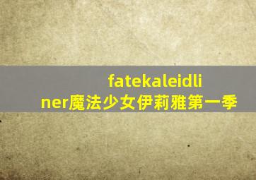 fatekaleidliner魔法少女伊莉雅第一季