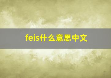 feis什么意思中文