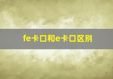 fe卡口和e卡口区别