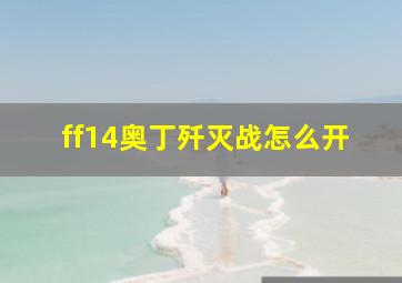 ff14奥丁歼灭战怎么开