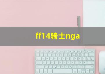 ff14骑士nga