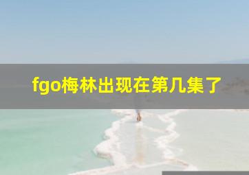 fgo梅林出现在第几集了