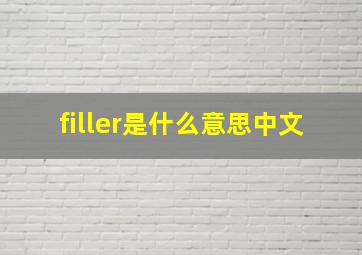 filler是什么意思中文