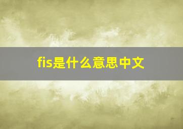 fis是什么意思中文