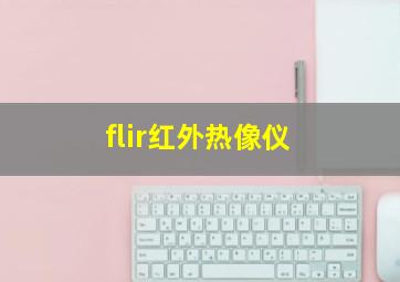 flir红外热像仪