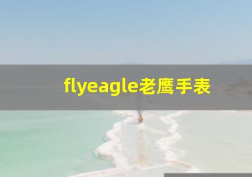 flyeagle老鹰手表