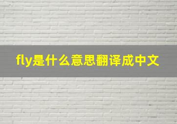 fly是什么意思翻译成中文