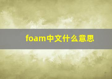 foam中文什么意思