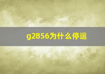 g2856为什么停运