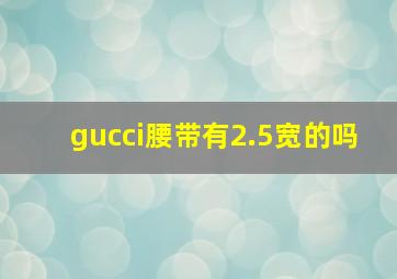 gucci腰带有2.5宽的吗