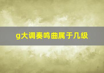 g大调奏鸣曲属于几级