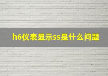 h6仪表显示ss是什么问题