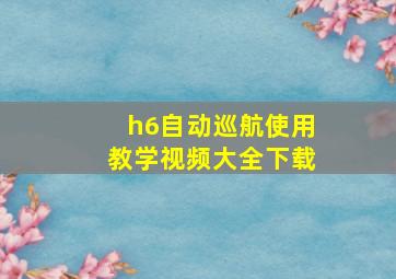 h6自动巡航使用教学视频大全下载