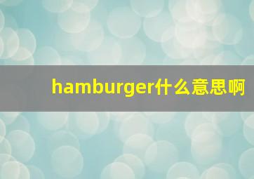 hamburger什么意思啊