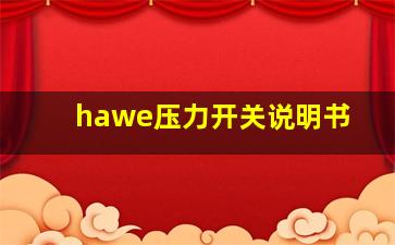 hawe压力开关说明书