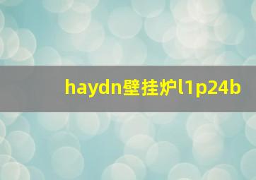 haydn壁挂炉l1p24b