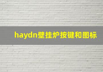 haydn壁挂炉按键和图标