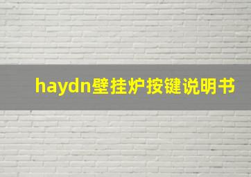 haydn壁挂炉按键说明书