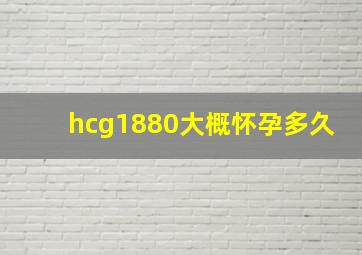 hcg1880大概怀孕多久