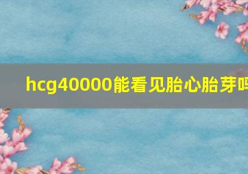 hcg40000能看见胎心胎芽吗