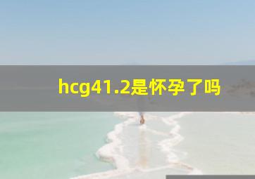 hcg41.2是怀孕了吗