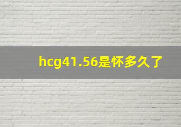 hcg41.56是怀多久了